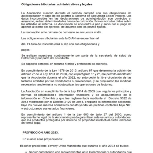 11.INFORME DE GESTION AÑO 2022_002