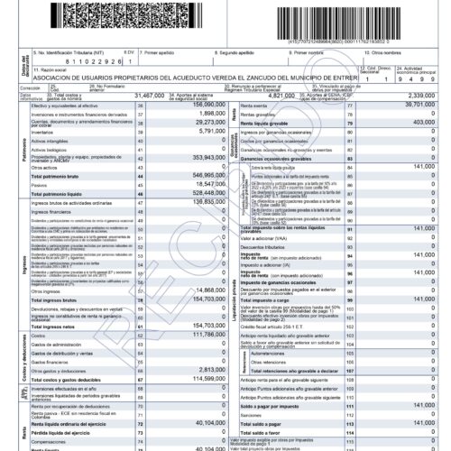 15.2RENTA 2024 ACUEDUCTO_page-0001