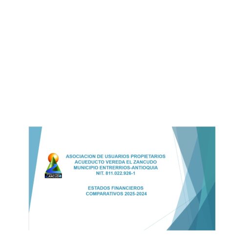 ESTADOS FINANCIEROS COMPARATIVOS AÑOS 2025-2024 Y REVELACIONES Y NOTAS_page-0001