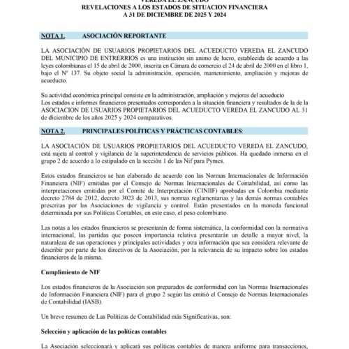 ESTADOS FINANCIEROS COMPARATIVOS AÑOS 2025-2024 Y REVELACIONES Y NOTAS_page-0007