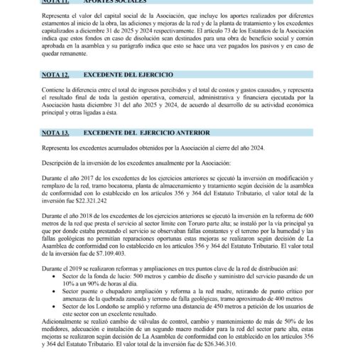 ESTADOS FINANCIEROS COMPARATIVOS AÑOS 2025-2024 Y REVELACIONES Y NOTAS_page-0014